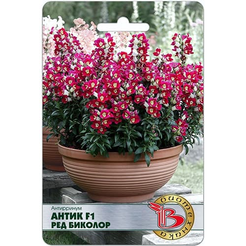 Львиный зев (антирринум) Антик Ред Биколор Биотехника изображение 1 артикул 97311