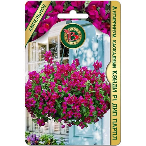 Львиный зев (антирринум) каскадный Кэнди Дип Парпл F1 Биотехника изображение 1 артикул 97313