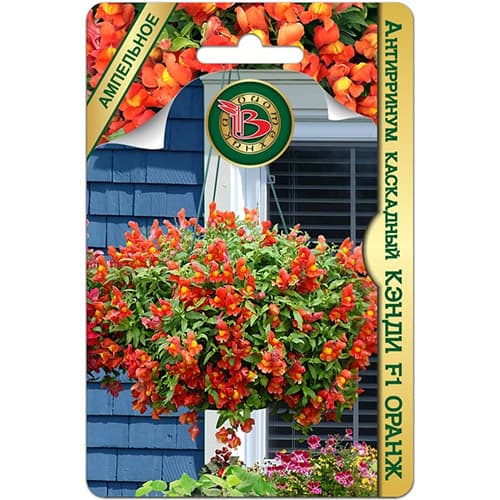 Львиный зев (антирринум) каскадный Кэнди Оранж F1 Биотехника изображение 1 артикул 97314