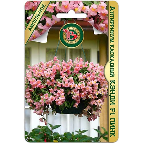 Львиный зев (антирринум) каскадный Кэнди Пинк F1 Биотехника артикул фото 1 Львиный зев (антирринум) каскадный Кэнди Пинк F1 Биотехника изображение 1 артикул 97315