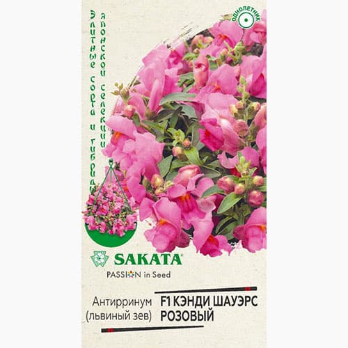 Львиный зев (антирринум) Кэнди Шауэрс розовый F1 Гавриш артикул фото 1 Львиный зев (антирринум) Кэнди Шауэрс розовый F1 Гавриш изображение 1 артикул 97733