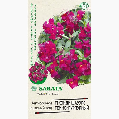 Львиный зев (антирринум) Кэнди Шауэрс темно-пурпурный F1 Гавриш изображение 1 артикул 97572
