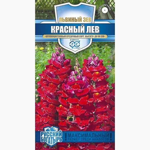 Львиный зев (антирринум) Красный лев Гавриш изображение 1 артикул 97729