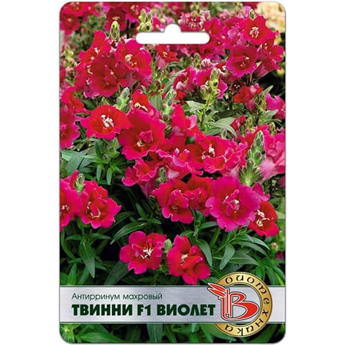 Львиный зев (антирринум) махровый Твинни Виолет F1 Биотехника артикул фото 1 Львиный зев (антирринум) махровый Твинни Виолет F1 Биотехника изображение 1 артикул 97316