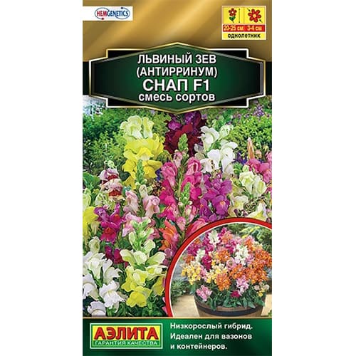 Львиный зев (антирринум) Снап F1, смесь окрасок Аэлита изображение 1 артикул 40353