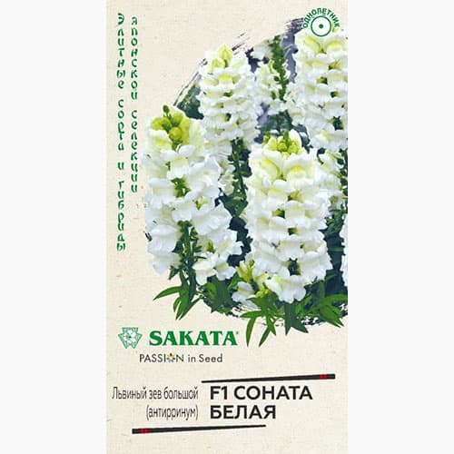 Львиный зев (антирринум) Соната белая F1 Гавриш изображение 1 артикул 97735