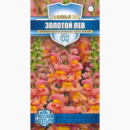 Львиный зев (антирринум) Золотой лев Гавриш изображение 1 артикул 97728
