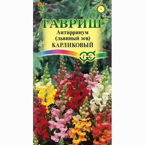 Львиный зев (антирринум) Карликовый, смесь окрасок Гавриш изображение 1 артикул 71205