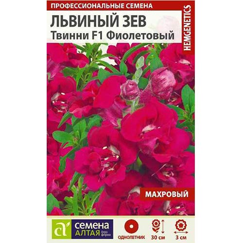 Львиный зев Твинни фиолетовый F1 Семена Алтая изображение 1 артикул 81687