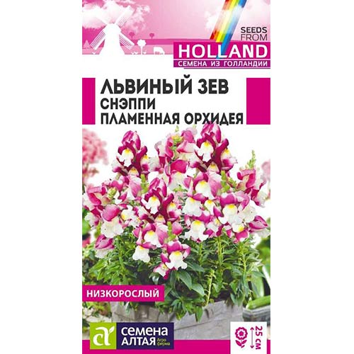 Львиный зев Снэппи Пламенная орхидея Семена Алтая артикул фото 1 Львиный зев Снэппи Пламенная орхидея Семена Алтая изображение 1 артикул 78250