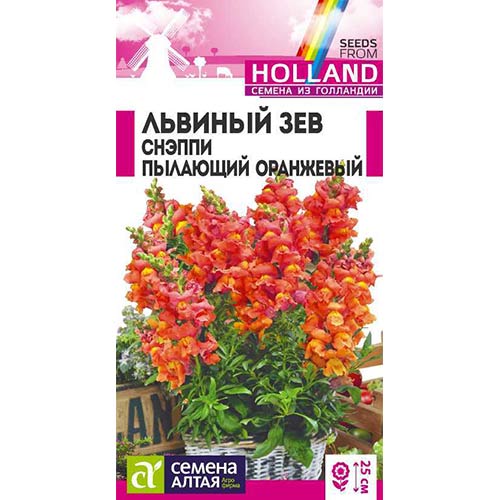Львиный зев Снэппи Пылающий оранжевый Семена Алтая изображение 1 артикул 78252