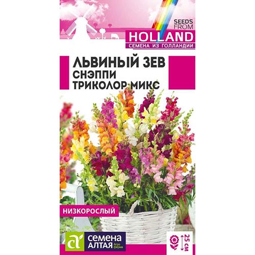 Львиный зев Снэппи Триколор, смесь окрасок Семена Алтая артикул фото 1 Львиный зев Снэппи Триколор, смесь окрасок Семена Алтая изображение 1 артикул 78255