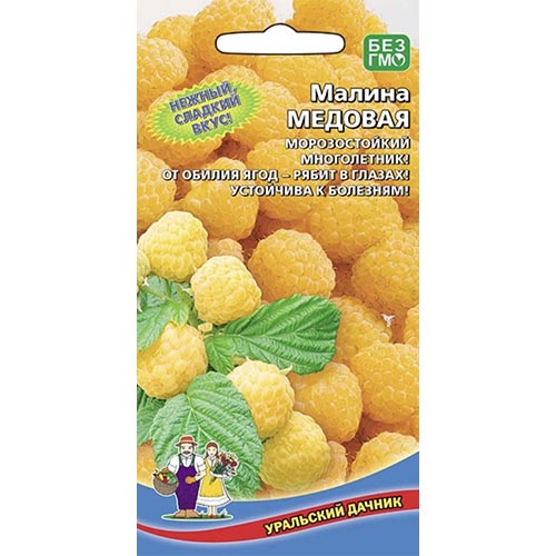 Малина Медовая Уральский дачник изображение 1 артикул 94564
