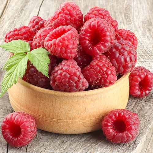 Малина ремонтантная Брусвяна артикул фото 1 Малина ремонтантная Брусвяна изображение 1 артикул 4359