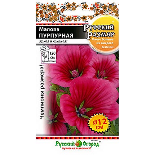 Малопа Русский Размер пурпурная НК изображение 1 артикул 92561