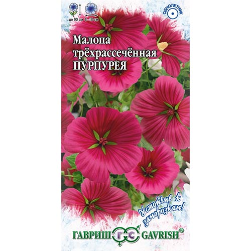 Малопе Пурпурея Гавриш изображение 1 артикул 92144