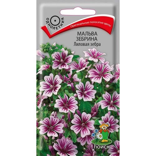 Мальва Лиловая зебра Поиск изображение 1 артикул 93041