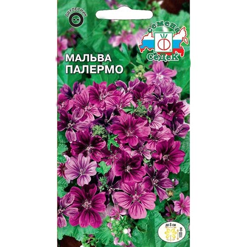 Мальва Палермо Седек изображение 1 артикул 93896