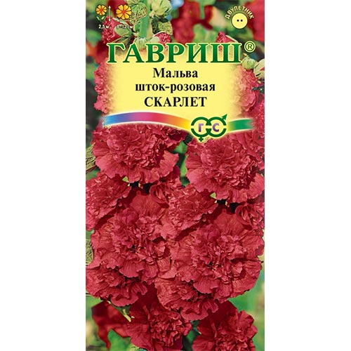 Мальва Скарлет Гавриш изображение 1 артикул 92148