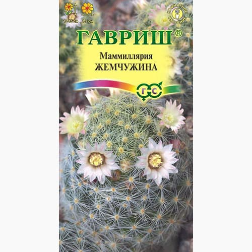 Маммиллярия (кактус) шейдвелардиана Жемчужина Гавриш изображение 1 артикул 97748