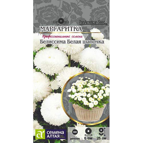 Маргаритка Белиссима Белая шапочка Семена Алтая артикул фото 1 Маргаритка Белиссима Белая шапочка Семена Алтая изображение 1 артикул 81689