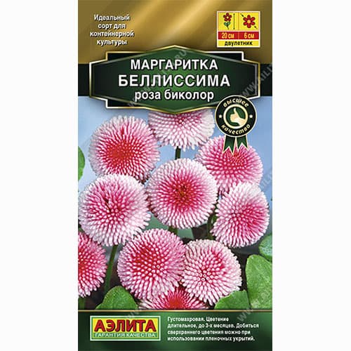 Маргаритка Беллиссима роза биколор Аэлита изображение 1 артикул 87923