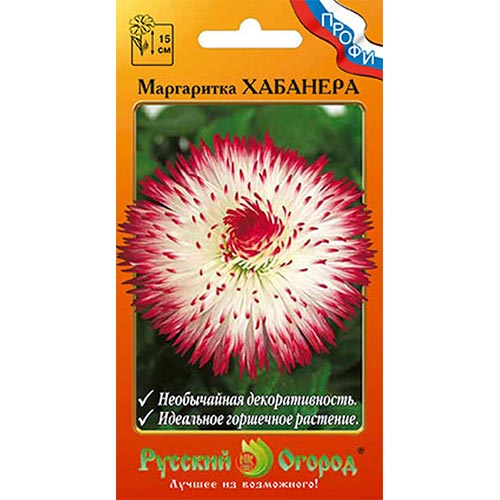 Маргаритка Хабанера НК изображение 1 артикул 92569