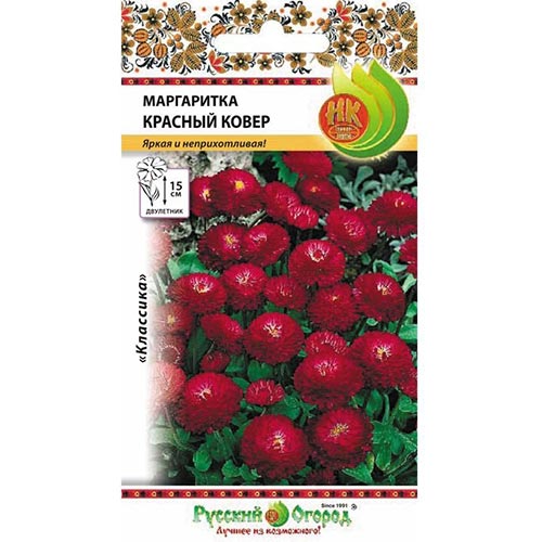 Маргаритка Красный ковер НК изображение 1 артикул 92566