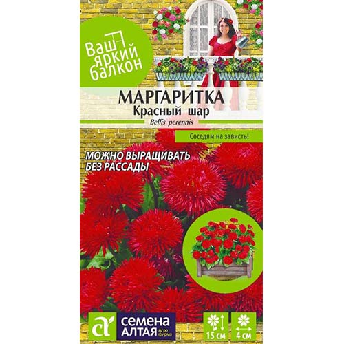 Маргаритка Красный шар Семена Алтая артикул фото 1 Маргаритка Красный шар Семена Алтая изображение 1 артикул 81694