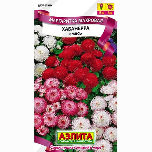 Маргаритка махровая Хабанера, смесь окрасок Аэлита изображение 1 артикул 99002