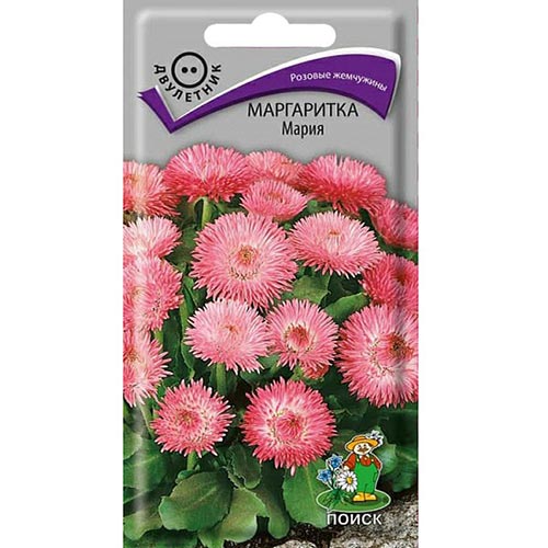 Маргаритка Мария Поиск изображение 1 артикул 93043