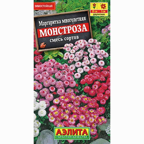 Маргаритка Монстроза, смесь окрасок Аэлита артикул фото 1 Маргаритка Монстроза, смесь окрасок Аэлита изображение 1 артикул 99004