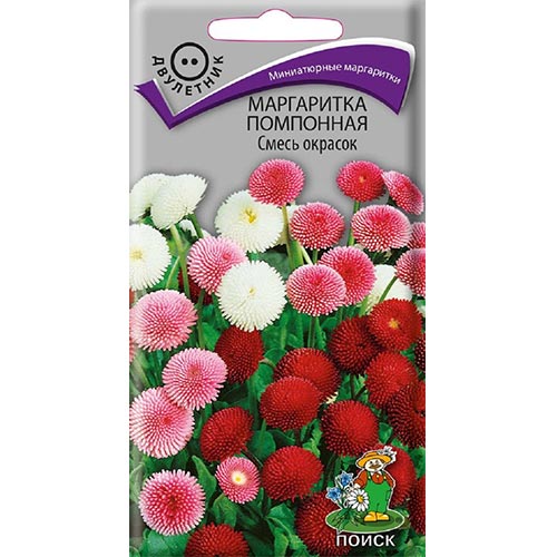 Маргаритка помпонная, смесь окрасок Поиск изображение 1 артикул 93044