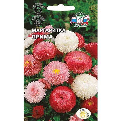 Маргаритка Прима, смесь окрасок Седек изображение 1 артикул 93899