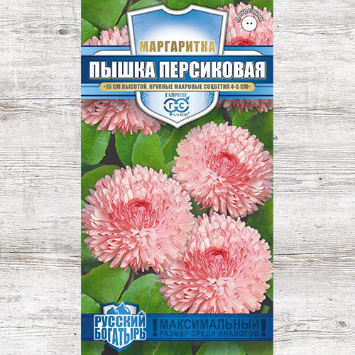 Маргаритка Пышка персиковая Гавриш изображение 1 артикул 73703