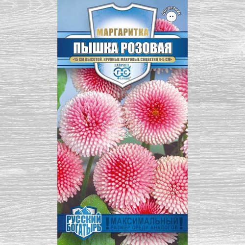 Маргаритка Пышка розовая Гавриш артикул фото 1 Маргаритка Пышка розовая Гавриш изображение 1 артикул 73704