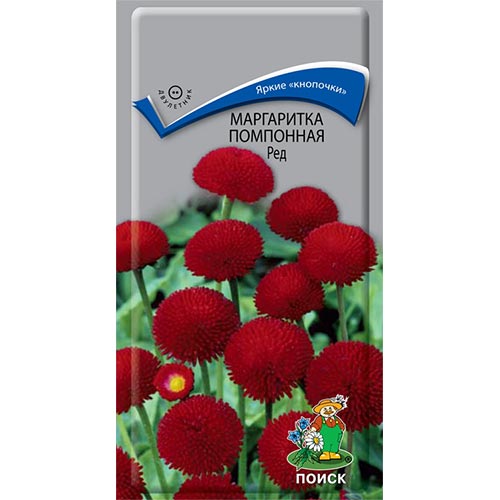 Маргаритка Ред Поиск изображение 1 артикул 93045