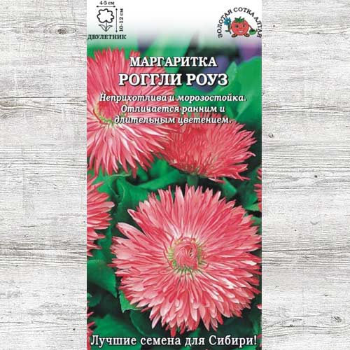 Маргаритка Роггли Роуз изображение 1 артикул 83689