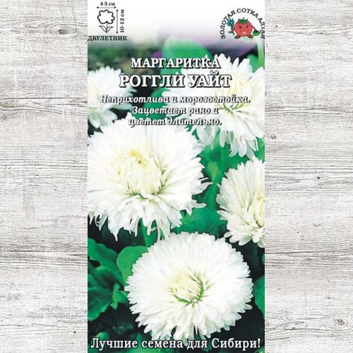 Маргаритка Роггли Уайт изображение 1 артикул 83690