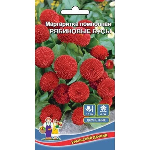 Маргаритка Рябиновые бусы Уральский дачник изображение 1 артикул 94826