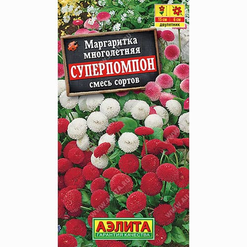 Маргаритка Суперпомпон, смесь окрасок Аэлита изображение 1 артикул 99005