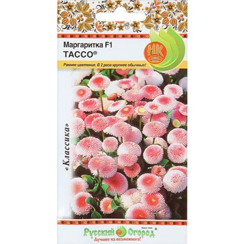 Маргаритка Тассо F1 НК изображение 1 артикул 92568