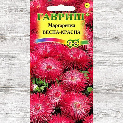 Маргаритка Весна-Красна Гавриш артикул фото 1 Маргаритка Весна-Красна Гавриш изображение 1 артикул 73702