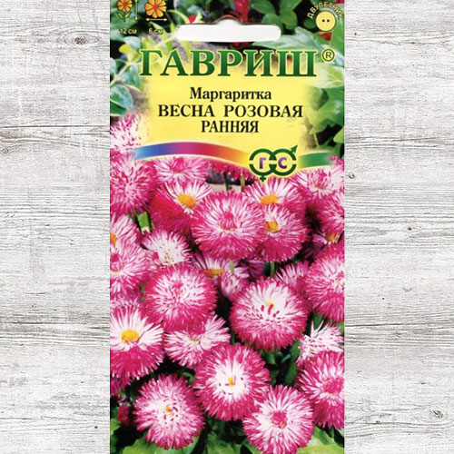 Маргаритка Весна розовая ранняя Гавриш артикул фото 1 Маргаритка Весна розовая ранняя Гавриш изображение 1 артикул 73700