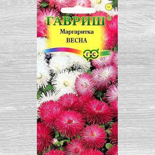 Маргаритка Весна, смесь окрасок Гавриш артикул фото 1 Маргаритка Весна, смесь окрасок Гавриш изображение 1 артикул 73701
