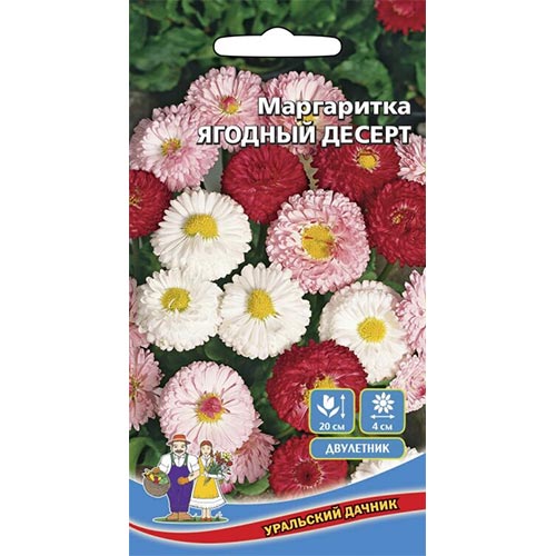 Маргаритка Ягодный десерт, смесь окрасок Уральский дачник изображение 1 артикул 94827