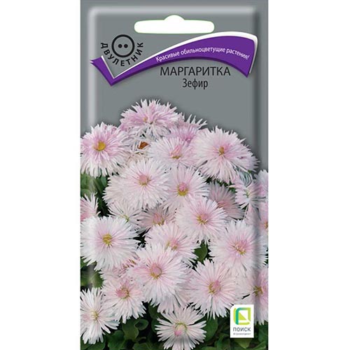 Маргаритка Зефир Поиск изображение 1 артикул 93042