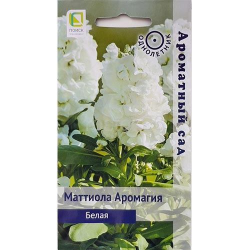 Маттиола двурогая Аромагия Белая Поиск изображение 1 артикул 93046