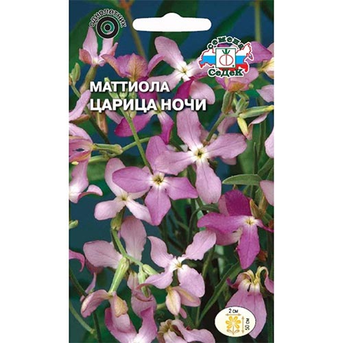 Маттиола двурогая Царица ночи Седек изображение 1 артикул 93901