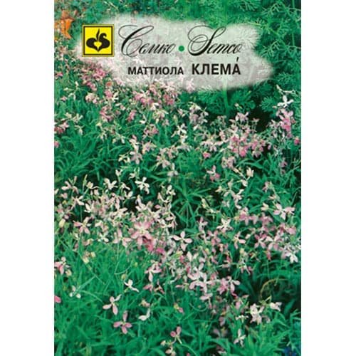 Маттиола двурогая Клема Семко изображение 1 артикул 94299
